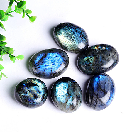 Natural Labradorite Cabochons LS-G-PW0003-03A-1