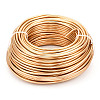 Round Anodized Aluminum Wire AW-S001-3.5mm-28-1