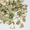 Dyed Natural Spiral Shell Chips Beads SHEL-A003-B04-1