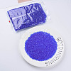 Transparent Glass Bugle Beads SEED-N005-001-C03-2
