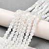 Opaque Solid Color Electroplate Glass Beads Strands EGLA-A039-P4mm-B15-4