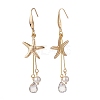 Starfish/Sea Stars 304 Stainless Steel Dangle Earring X-EJEW-TA00037-2