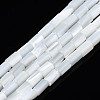 Natural Freshwater Shell Beads Strands SHEL-N003-26-A01-1