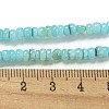 Dyed Natural Freshwater Shell Beads Strands X1-BSHE-G039-07C-4