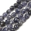 Natural Cordierite/Iolite/Dichroite Beads Strands GG-CBA9A7F-A02-2