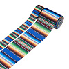 2Rolls 2 Styles Stripe Pattern Printed Polyester Grosgrain Ribbon OCOR-TA0001-37G-1
