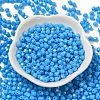 Baking Painted Glass Seed Beads SEED-C004-01M-2