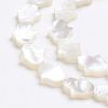 Natural White Shell Mother of Pearl Shell Beads X-SSHEL-L017-006-2