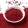 MIYUKI Round Rocailles Beads SEED-JP0009-RR0408-2