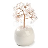 Natural Quartz Crystal Chips Tree of Life Decorations DJEW-C016-02A-1