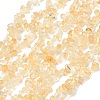 Natural Citrine Beads Strands G-P332-51-2