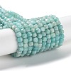 Natural Amazonite Beads Strands G-J400-A07-03-1