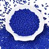 Baking Paint Glass Seed Beads SEED-A033-04E-2
