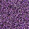 MIYUKI Delica Beads LS-X-SEED-J020-DB2508-2
