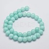 Natural Malaysia Jade Beads Strands G-A146-10mm-B07-2