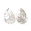 Natural White Shell Beads SSHEL-C011-06-1