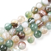 Natural Striped Agate/Banded Agate Beads Strands X1-G-G582-6mm-49-1