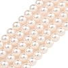 Glass Pearl Beads Strands HY-G002-01C-03-1