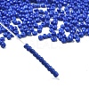 Baking Paint Glass Seed Beads SEED-S001-01-2