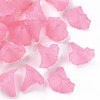 Transparent Acrylic Beads BSF796-C10-1