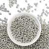 6/0 Glass Seed Beads E0690044-2