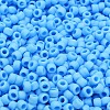 TOHO 6/0 Round Beads SEED-TR06-0043F-2