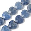 Natural Blue Aventurine Beads Strands G-A309-A13-01-2
