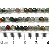 Natural Tree Agate Beads Strands G-H302-A03-02-5