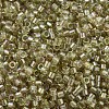 MIYUKI Delica Beads SEED-X0054-DB1766-3