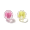 Frosted Transparent Acrylic Beads OACR-A032-15A-2