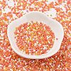 Baking Paint Glass Seed Beads X-SEED-S042-05B-45-2