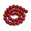 Shell Pearl Beads Strands X-BSHE-K015-14mm-01-2