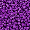 (Repacking Service Available) Baking Paint Glass Seed Beads SEED-C024-B-K13-1