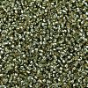 MIYUKI Delica Beads SEED-X0054-DB2163-3
