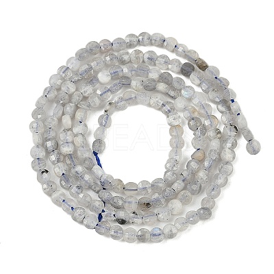 Natural Labradorite Beads Strands LS-G-RM2025-A30-2mm-1