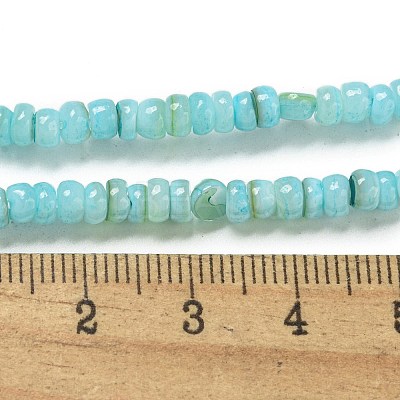 Dyed Natural Freshwater Shell Beads Strands X1-BSHE-G039-07C-1