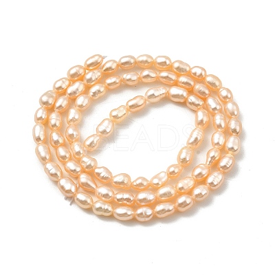 Natural Cultured Freshwater Pearl Beads Strands PEAR-I007-01L-03-1