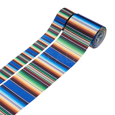 2Rolls 2 Styles Stripe Pattern Printed Polyester Grosgrain Ribbon OCOR-TA0001-37G-1