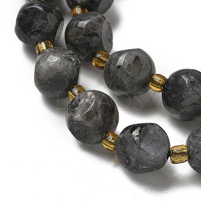 Natural Larvikite Beads Strands G-K387-A02-02-1
