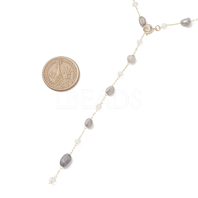 Handmade Natural Labradorite Beaded Chains Earring & Necklaces Sets SJEW-JS01342-03-1