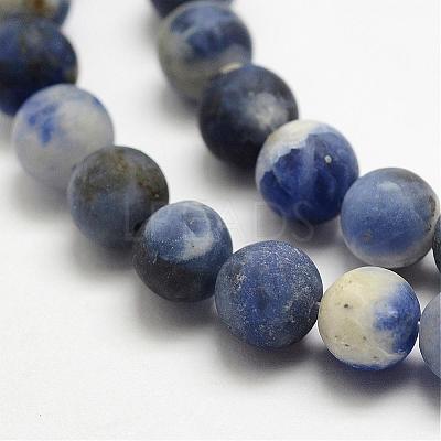 Natural Sodalite Beads Strands G-J364-01-6mm-1