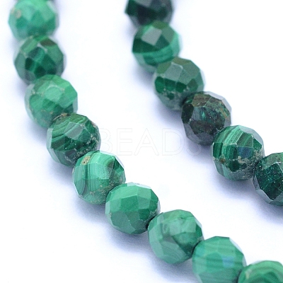 Natural Malachite Beads Strands G-I279-E15-03-1