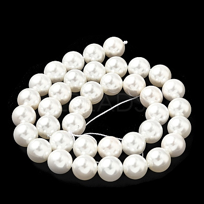 Shell Pearl Beads Strands BSHE-K015-10mm-04-1