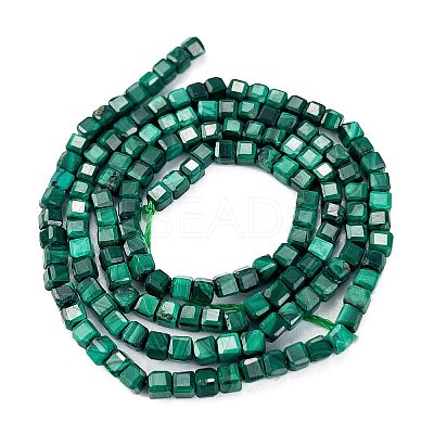 Natural Malachite Beads Strands G-C009-B24-01-1