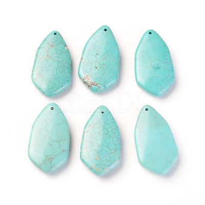 Natural Howlite Pendants TURQ-L031-029-1