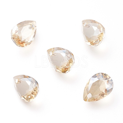 Glass Rhinestone Pendants RGLA-A024-H02-001GS-1