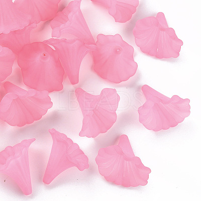 Transparent Acrylic Beads BSF796-C10-1
