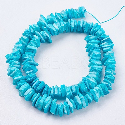 Natural Sea Shell Beads Strands BSHE-K012-08C-1