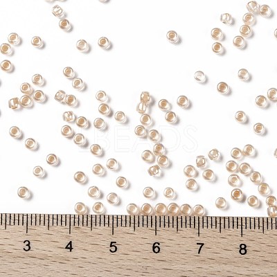 TOHO 8/0 Round Beads SEED-XTR08-0794-1