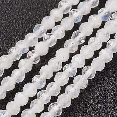 Natural Rainbow Moonstone Bead Strand G-G680-53-1